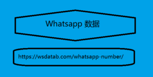 Whatsapp 数据