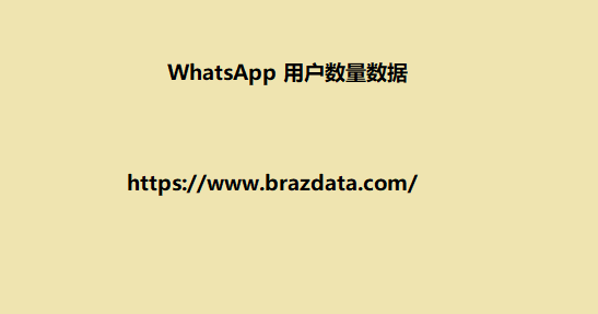 WhatsApp 用户数量数据