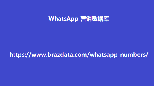 WhatsApp 营销数据库