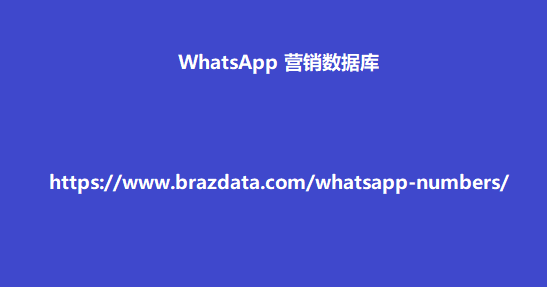 WhatsApp 营销数据库